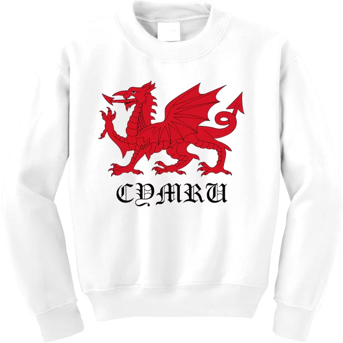 Retro Heraldic Red Welsh Dragon Of Wales Cymru Y Ddraig Goch Kids Sweatshirt