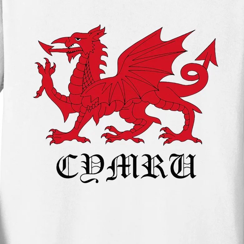 Retro Heraldic Red Welsh Dragon Of Wales Cymru Y Ddraig Goch Kids Long Sleeve Shirt