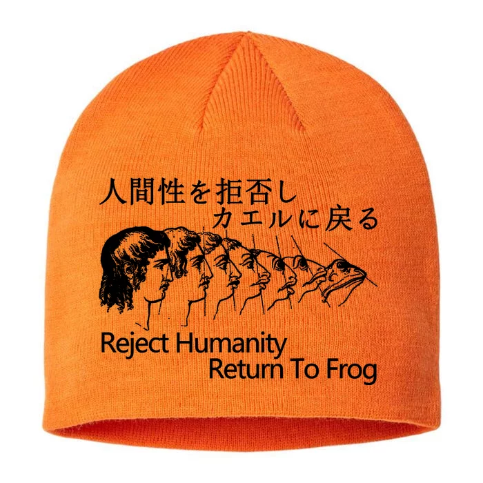 Reject Humanity Return To Frog Japanese 8 1/2in Sustainable Knit Beanie