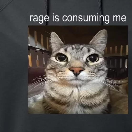 Rage Is Consuming Me Silly Staring Cat Meme Performance Fleece Hoodie