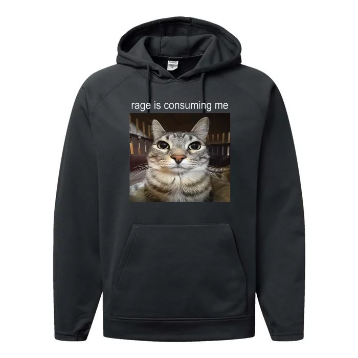 Rage Is Consuming Me Silly Staring Cat Meme Performance Fleece Hoodie