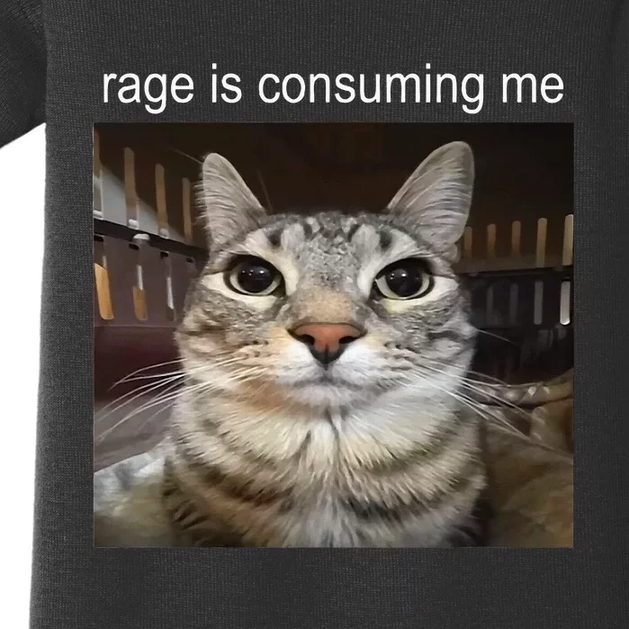 Rage Is Consuming Me Silly Staring Cat Meme Baby Bodysuit