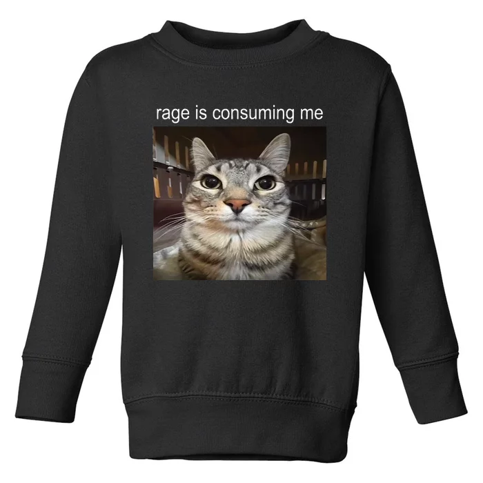 Rage Is Consuming Me Silly Staring Cat Meme Toddler Sweatshirt