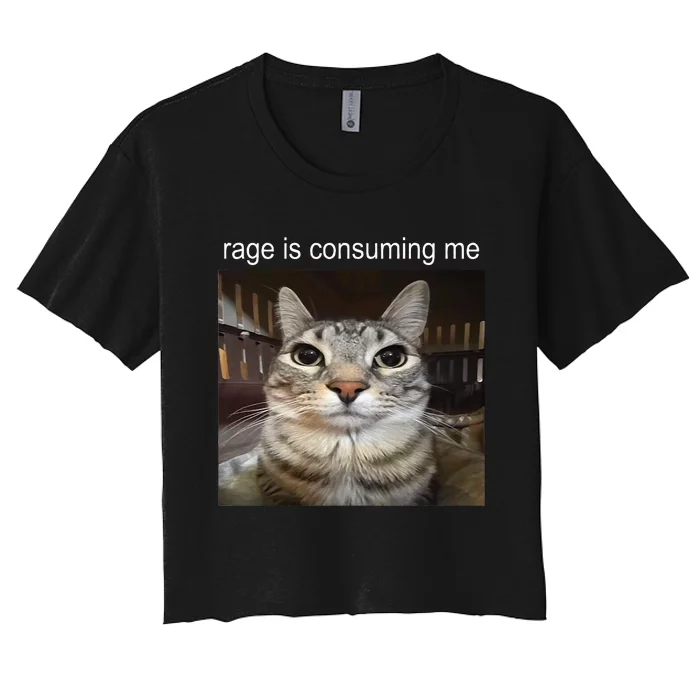 Rage Is Consuming Me Silly Staring Cat Meme Women's Crop Top Tee