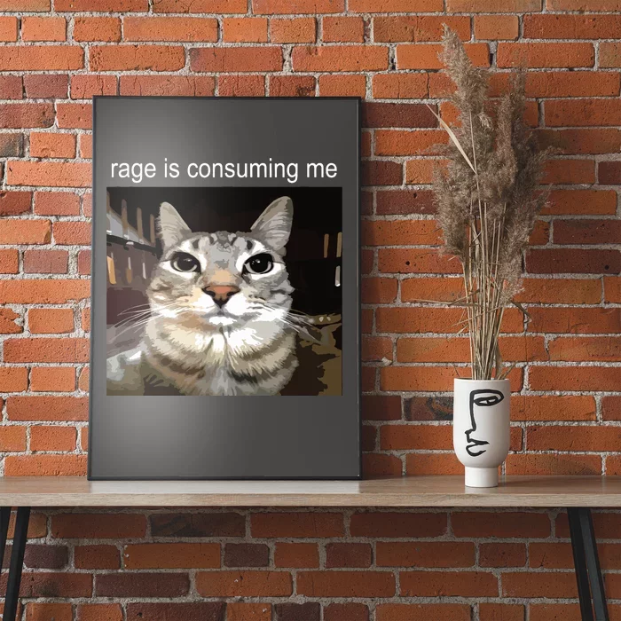 Rage Is Consuming Me Silly Staring Cat Meme Poster