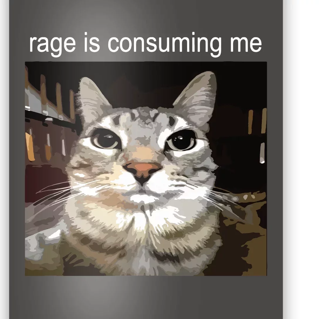 Rage Is Consuming Me Silly Staring Cat Meme Poster