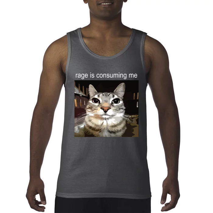 Rage Is Consuming Me Silly Staring Cat Meme Tank Top