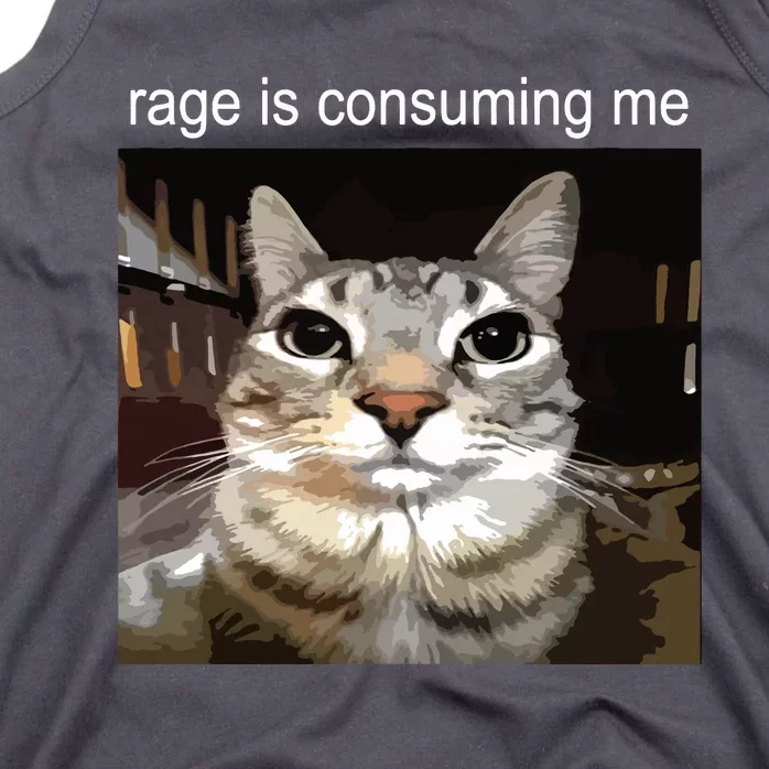 Rage Is Consuming Me Silly Staring Cat Meme Tank Top