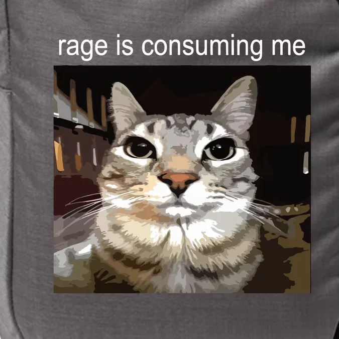 Rage Is Consuming Me Silly Staring Cat Meme Impact Tech Backpack