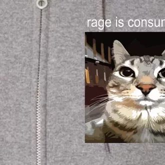 Rage Is Consuming Me Silly Staring Cat Meme Full Zip Hoodie