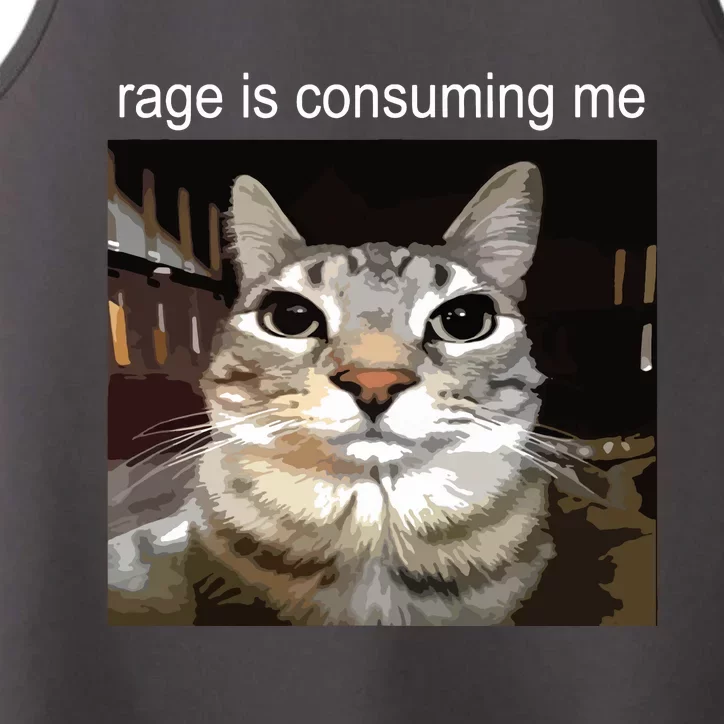 Rage Is Consuming Me Silly Staring Cat Meme Performance Tank