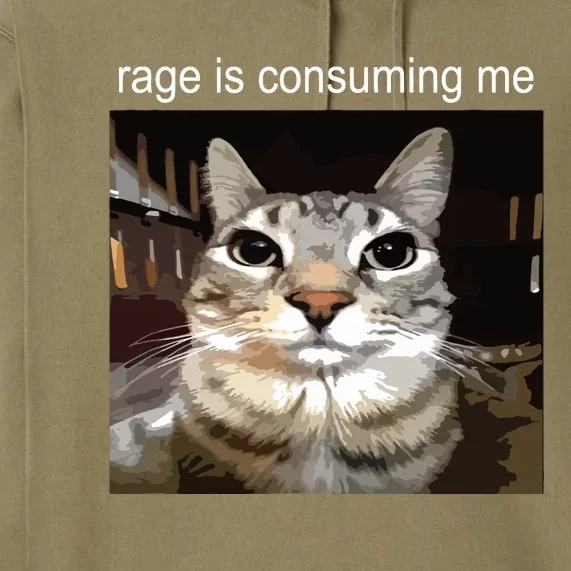 Rage Is Consuming Me Silly Staring Cat Meme Premium Hoodie