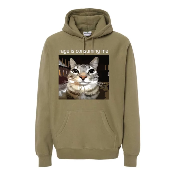 Rage Is Consuming Me Silly Staring Cat Meme Premium Hoodie