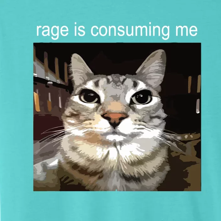 Rage Is Consuming Me Silly Staring Cat Meme ChromaSoft Performance T-Shirt