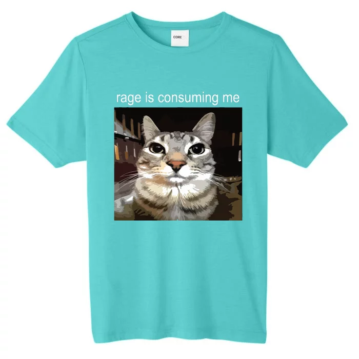 Rage Is Consuming Me Silly Staring Cat Meme ChromaSoft Performance T-Shirt