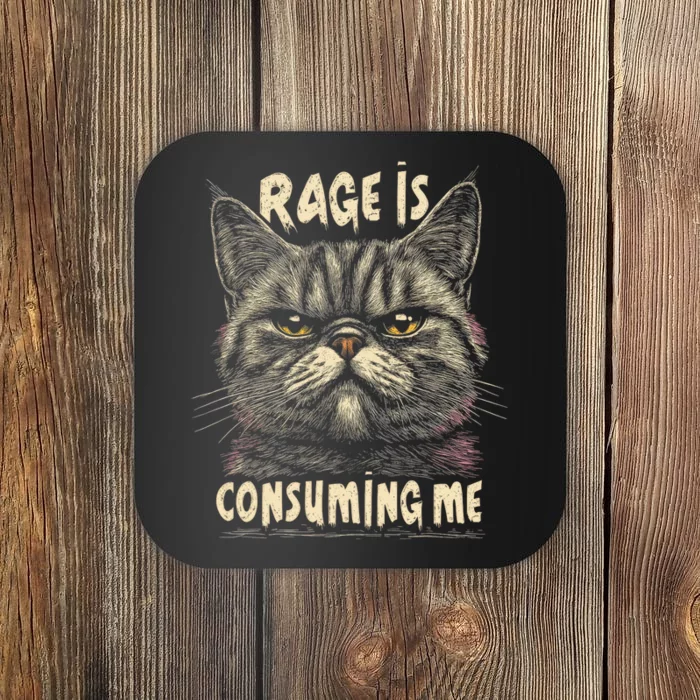 Rage Is Consuming Me Cat Meme Coaster