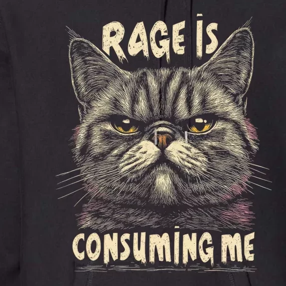 Rage Is Consuming Me Cat Meme Premium Hoodie