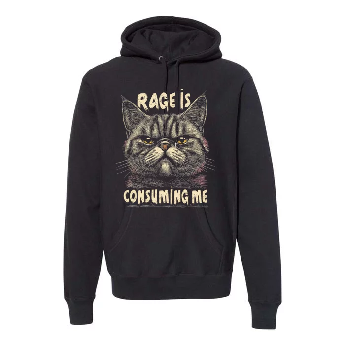 Rage Is Consuming Me Cat Meme Premium Hoodie