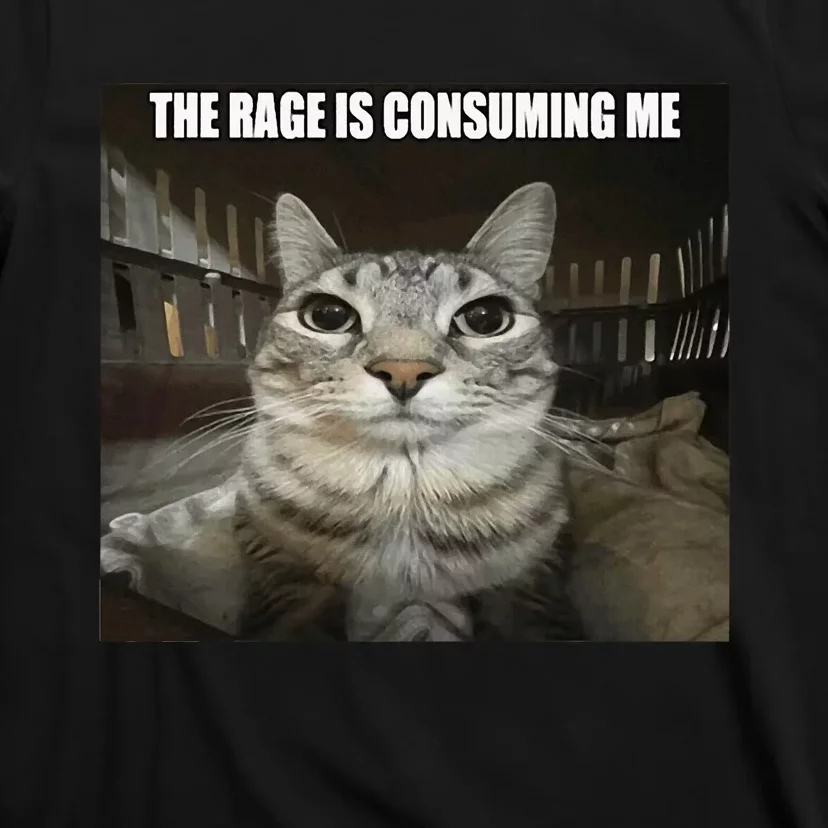 Rage Is Consuming Me T-Shirt