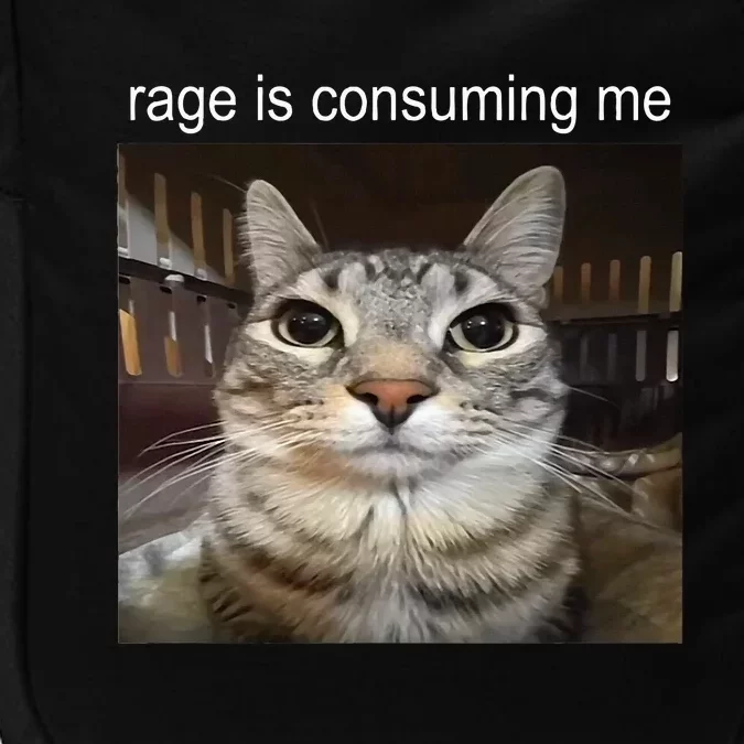 Rage Is Consuming Me Silly Staring Cat Meme Impact Tech Backpack