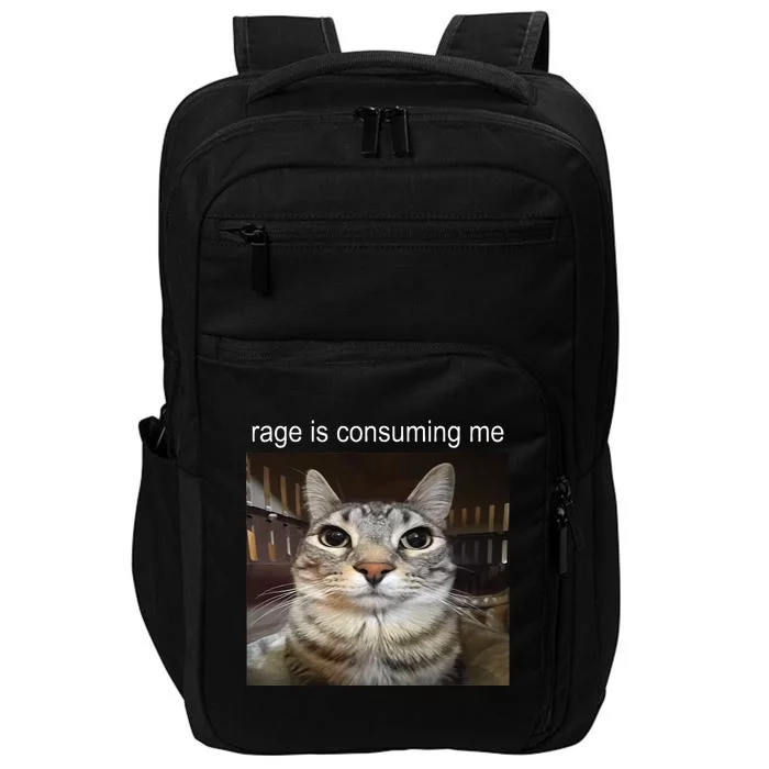 Rage Is Consuming Me Silly Staring Cat Meme Impact Tech Backpack