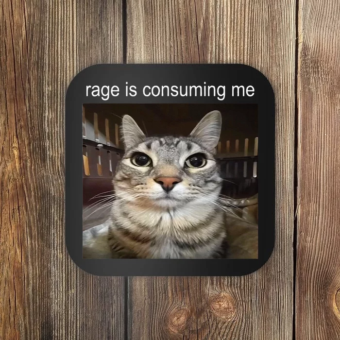 Rage Is Consuming Me Silly Staring Cat Meme Coaster