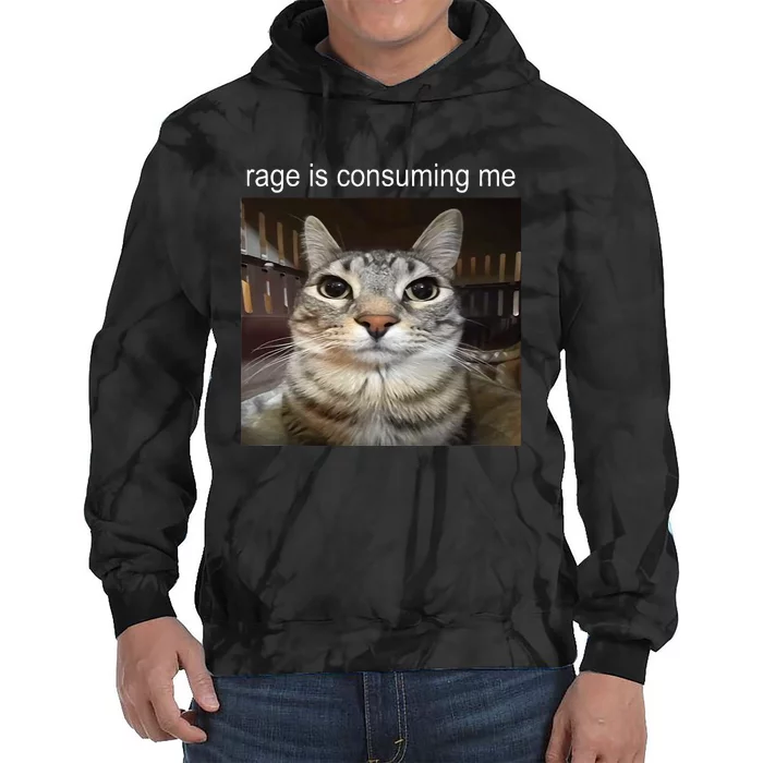 Rage Is Consuming Me Silly Staring Cat Meme Tie Dye Hoodie