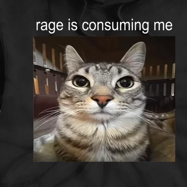 Rage Is Consuming Me Silly Staring Cat Meme Tie Dye Hoodie