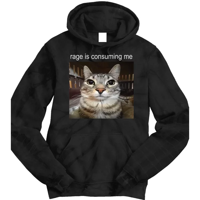 Rage Is Consuming Me Silly Staring Cat Meme Tie Dye Hoodie