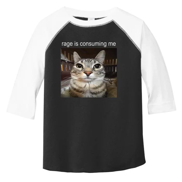 Rage Is Consuming Me Silly Staring Cat Meme Toddler Fine Jersey T-Shirt