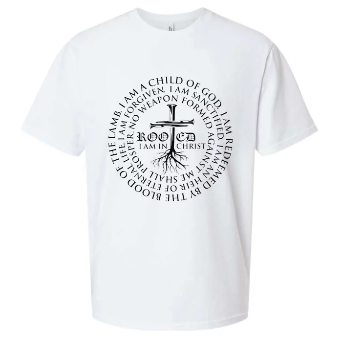 Rooted in Christ Religious Christian Jesus Vintage Sueded Cloud Jersey T-Shirt