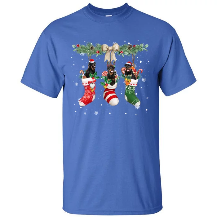 Rottweiler In Christmas Socks Rottweiler Xmas Cute Gift Tall T-Shirt