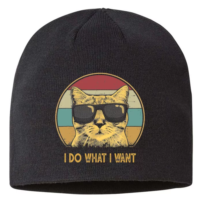 Retro I do what I want cat funny cat lover 8 1/2in Sustainable Knit Beanie