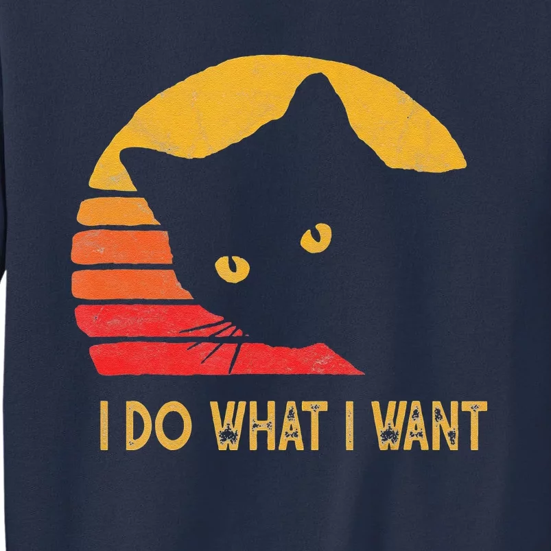 Retro I Do What I Want With My Cat Funny Gift Sweatshirt