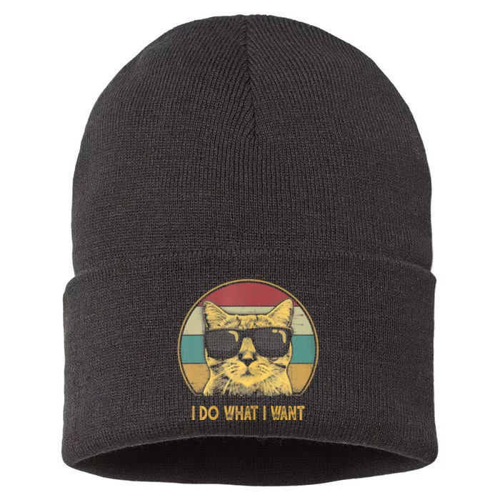 Retro I Do What I Want Cat Funny Cat Lover Sustainable Knit Beanie