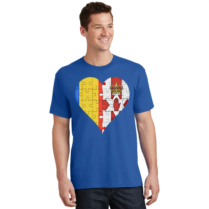 Roian Irish Flag Heart Gift T-Shirt