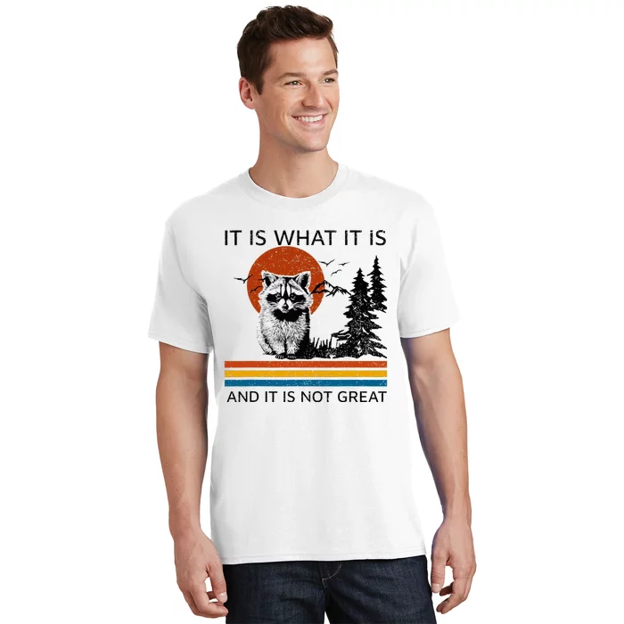 Raccoon It Is What It Is And It Is Not Great T-Shirt