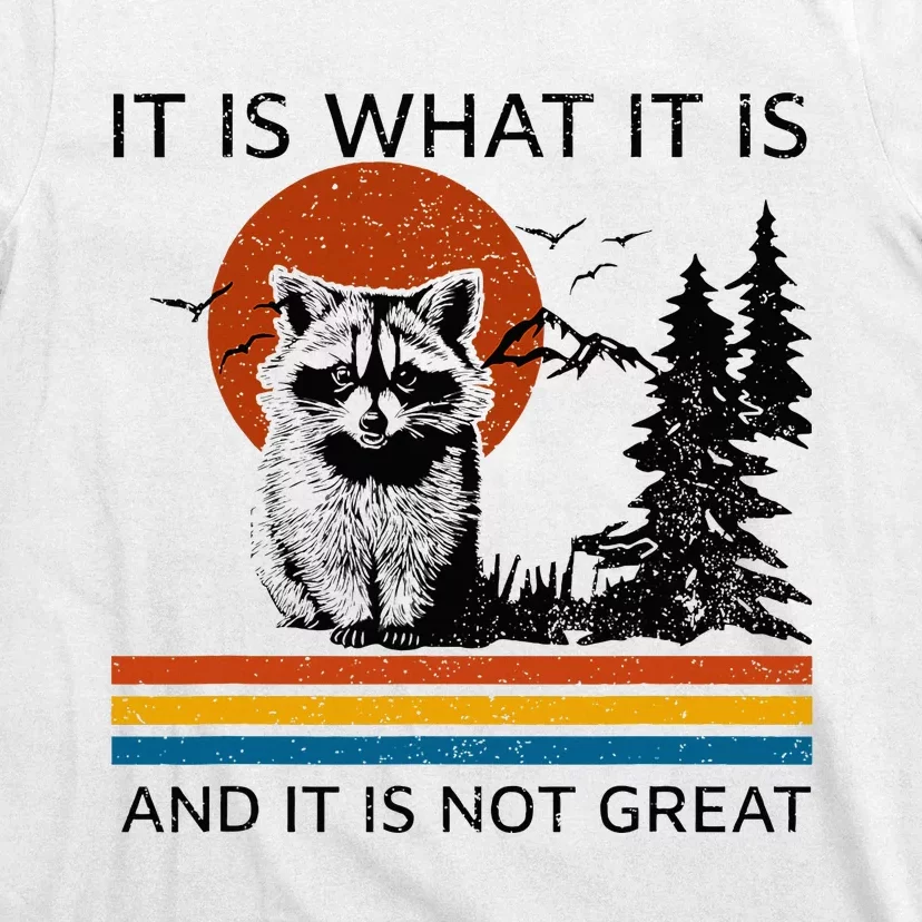 Raccoon It Is What It Is And It Is Not Great T-Shirt