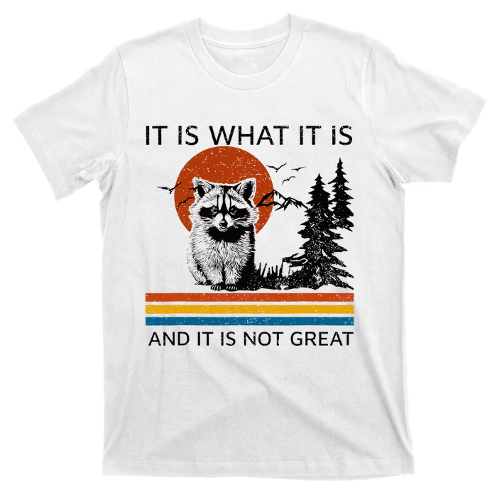 Raccoon It Is What It Is And It Is Not Great T-Shirt