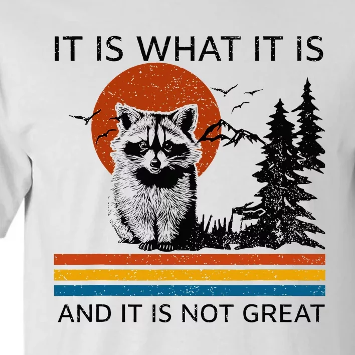 Raccoon It Is What It Is And It Is Not Great Tall T-Shirt