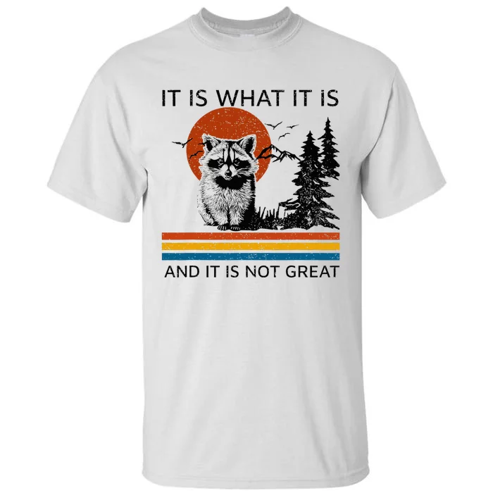 Raccoon It Is What It Is And It Is Not Great Tall T-Shirt