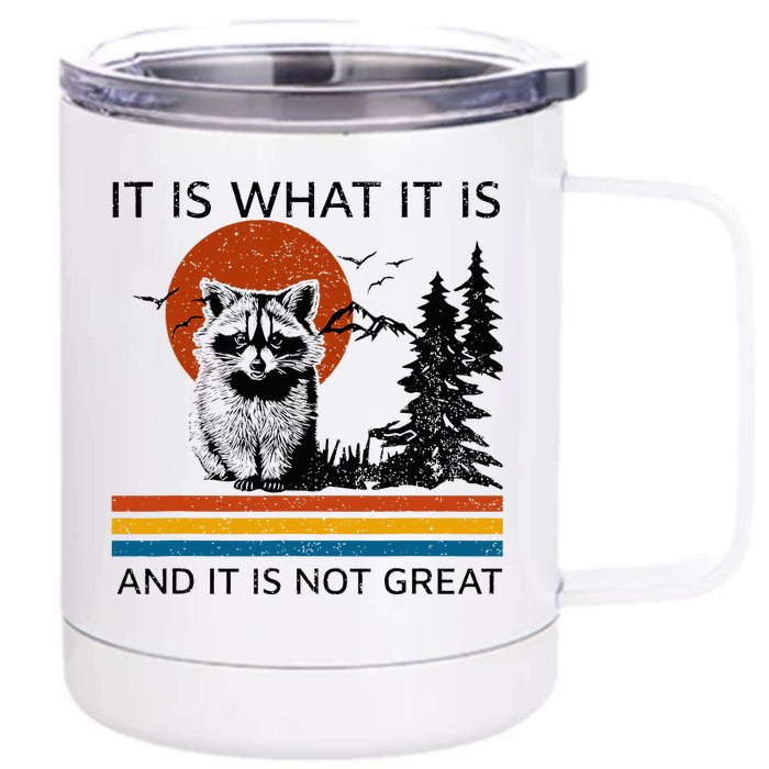 Raccoon It Is What It Is And It Is Not Great Front & Back 12oz Stainless Steel Tumbler Cup