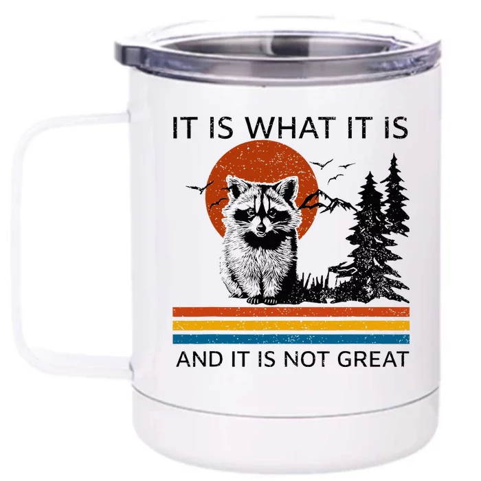 Raccoon It Is What It Is And It Is Not Great Front & Back 12oz Stainless Steel Tumbler Cup