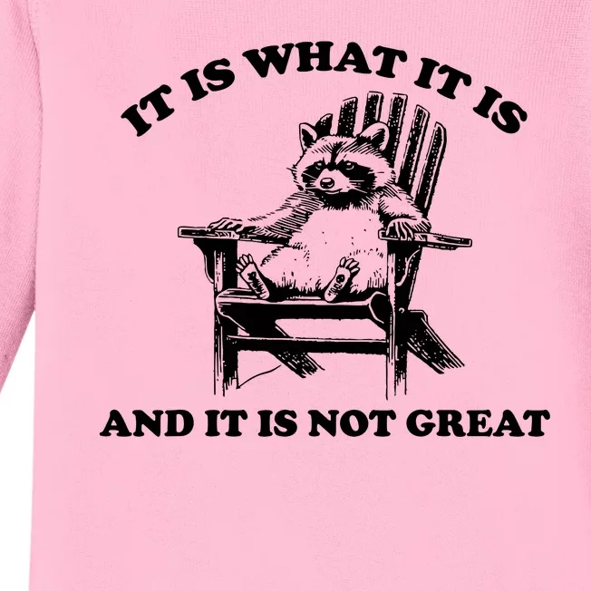 Raccoon It Is What It Is And It Is Not Great Baby Long Sleeve Bodysuit