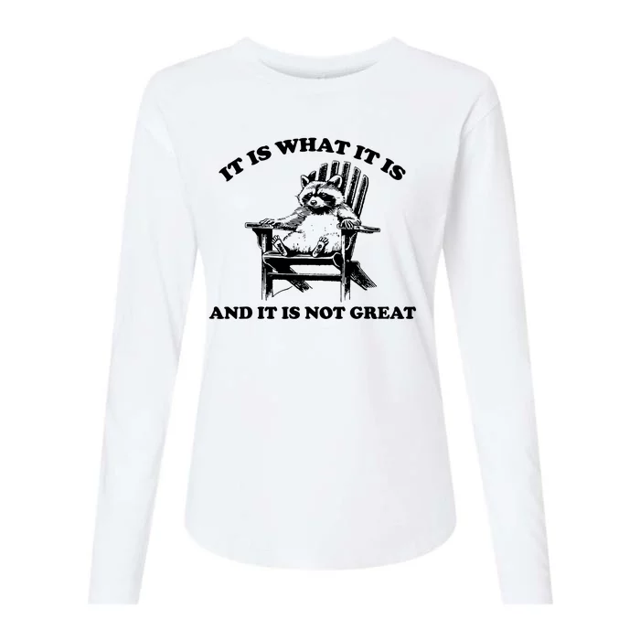 Raccoon It Is What It Is And It Is Not Great Womens Cotton Relaxed Long Sleeve T-Shirt