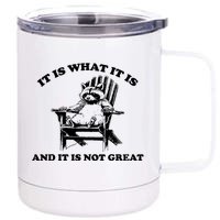 Raccoon It Is What It Is And It Is Not Great 12 oz Stainless Steel Tumbler Cup