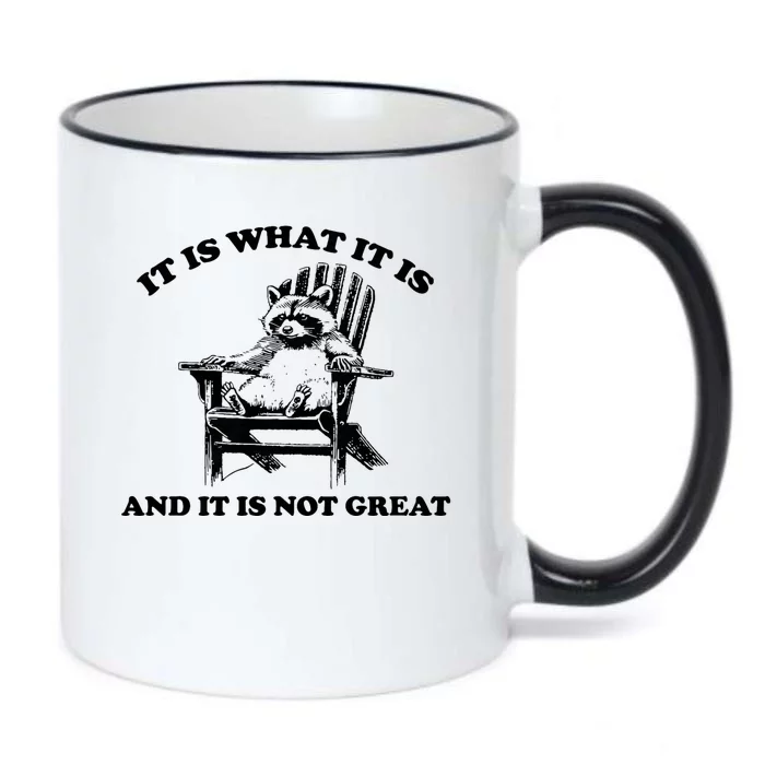 Raccoon It Is What It Is And It Is Not Great Black Color Changing Mug