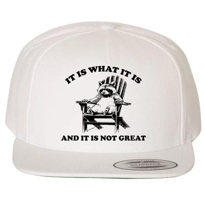 Raccoon It Is What It Is And It Is Not Great Wool Snapback Cap