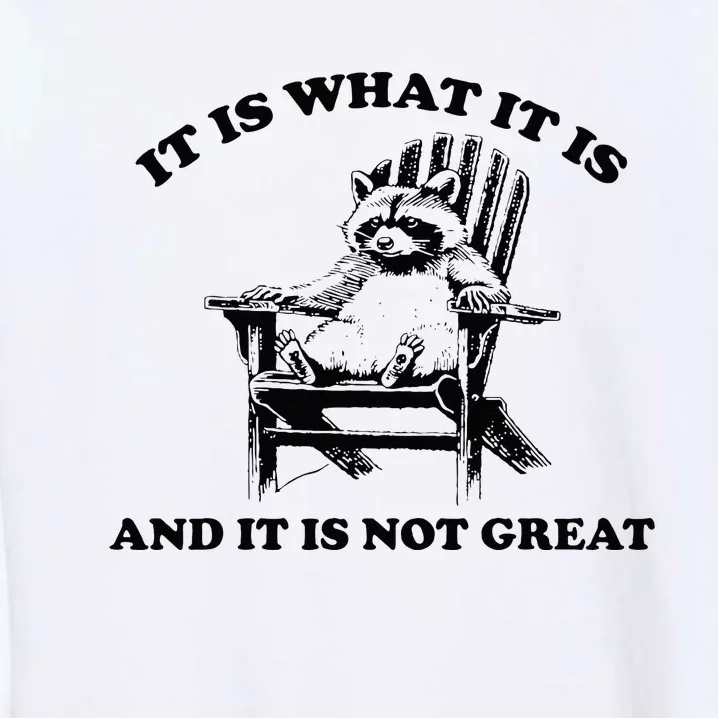 Raccoon It Is What It Is And It Is Not Great Garment-Dyed Sweatshirt