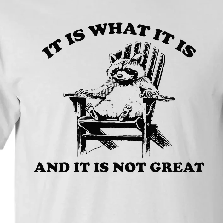 Raccoon It Is What It Is And It Is Not Great Tall T-Shirt